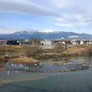 ヒメ日記 2026/01/29 10:40 投稿 水朝美樹（ニューハーフ） 人妻生レンタル