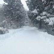 ヒメ日記 2026/02/11 11:50 投稿 水朝美樹（ニューハーフ） 人妻生レンタル