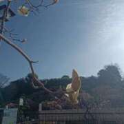 ヒメ日記 2026/03/02 20:40 投稿 水朝美樹（ニューハーフ） 人妻生レンタル