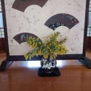 ヒメ日記 2026/03/06 11:06 投稿 水朝美樹（ニューハーフ） 人妻生レンタル