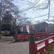 ヒメ日記 2026/03/16 11:10 投稿 水朝美樹（ニューハーフ） 人妻生レンタル