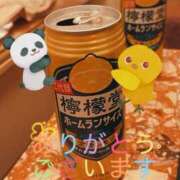 ヒメ日記 2025/08/15 12:49 投稿 つぼみ One More奥様　八王子店