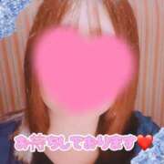 ヒメ日記 2025/11/01 08:24 投稿 つぼみ One More奥様　八王子店