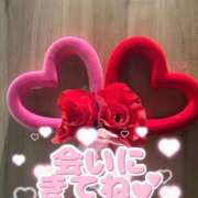 ヒメ日記 2026/02/01 12:32 投稿 つぼみ One More奥様　八王子店