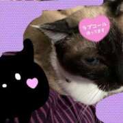 ヒメ日記 2025/03/07 20:53 投稿 ちひろ CLUB DEEP 博多