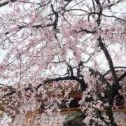 ヒメ日記 2025/04/01 20:43 投稿 ちひろ CLUB DEEP 博多