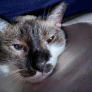 ヒメ日記 2025/04/24 18:23 投稿 ちひろ CLUB DEEP 博多