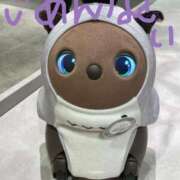 ヒメ日記 2025/05/16 19:52 投稿 ちひろ CLUB DEEP 博多