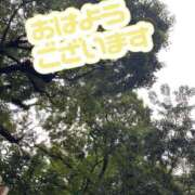 ヒメ日記 2025/09/14 11:43 投稿 ちひろ CLUB DEEP 博多