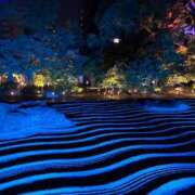 ヒメ日記 2025/11/03 10:04 投稿 ちひろ CLUB DEEP 博多