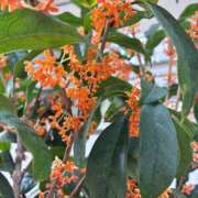 ヒメ日記 2025/11/07 17:53 投稿 ちひろ CLUB DEEP 博多