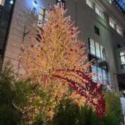 ヒメ日記 2025/11/15 10:50 投稿 ちひろ CLUB DEEP 博多