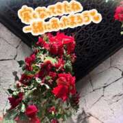 ヒメ日記 2025/11/18 19:13 投稿 ちひろ CLUB DEEP 博多