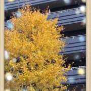 ヒメ日記 2025/12/03 17:33 投稿 ちひろ CLUB DEEP 博多