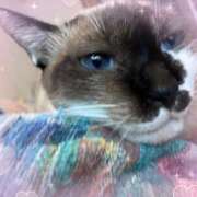 ヒメ日記 2025/12/05 16:33 投稿 ちひろ CLUB DEEP 博多