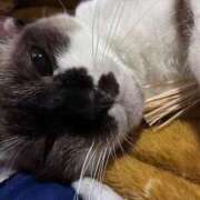 ヒメ日記 2025/12/20 20:53 投稿 ちひろ CLUB DEEP 博多