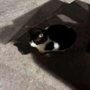 ヒメ日記 2026/03/28 11:03 投稿 ちひろ CLUB DEEP 博多