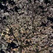 ちひろ 花粉症 CLUB DEEP 博多