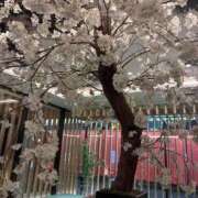 ちひろ お礼💌日記 CLUB DEEP 博多