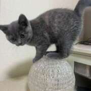 ヒメ日記 2025/11/02 11:08 投稿 はづき セレブクエスト-omiya-