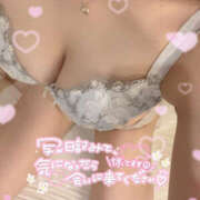 ヒメ日記 2025/03/11 14:17 投稿 由紀/ゆきN〇ソープ出身 Platinum Legend(プラチナムレジェンド)