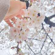 ヒメ日記 2025/04/02 12:54 投稿 りり奥様 なすがママされるがママ西川口