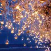 ヒメ日記 2025/08/22 19:10 投稿 しずく タレント倶楽部アダルト