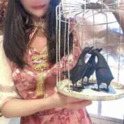 ヒメ日記 2025/04/09 15:04 投稿 めぐ マリン宮殿水戸店