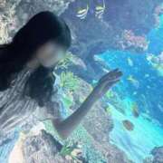 ヒメ日記 2025/09/15 22:04 投稿 めぐ マリン宮殿水戸店