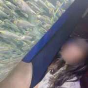 ヒメ日記 2025/11/28 21:04 投稿 めぐ マリン宮殿水戸店