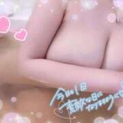 ヒメ日記 2025/03/20 12:24 投稿 きき マリン宮殿水戸店