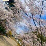 ヒメ日記 2025/04/08 15:14 投稿 きき マリン宮殿水戸店