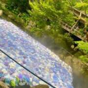 ヒメ日記 2025/07/03 14:04 投稿 きき マリン宮殿水戸店