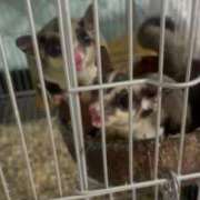 ヒメ日記 2025/07/31 14:43 投稿 きき マリン宮殿水戸店