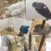 ヒメ日記 2025/08/08 14:20 投稿 きき マリン宮殿水戸店