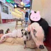 ヒメ日記 2025/10/18 14:19 投稿 きき マリン宮殿水戸店