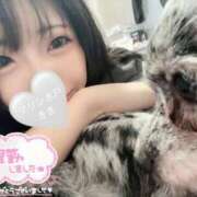 ヒメ日記 2025/11/19 23:24 投稿 きき マリン宮殿水戸店