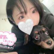 ヒメ日記 2025/11/20 23:14 投稿 きき マリン宮殿水戸店