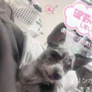 ヒメ日記 2025/11/22 23:24 投稿 きき マリン宮殿水戸店