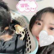 ヒメ日記 2025/11/23 23:13 投稿 きき マリン宮殿水戸店