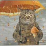 ヒメ日記 2025/03/19 09:08 投稿 いのり 素人妻御奉仕倶楽部Hip's松戸店