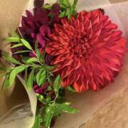 ヒメ日記 2025/04/09 06:18 投稿 いのり 素人妻御奉仕倶楽部Hip's松戸店