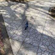 ヒメ日記 2025/04/17 11:16 投稿 いのり 素人妻御奉仕倶楽部Hip's松戸店