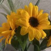 いのり 明日明後日出勤💛 素人妻御奉仕倶楽部Hip's松戸店