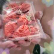 ヒメ日記 2025/04/11 17:41 投稿 牧野玲奈 プルデリR40滋賀店