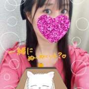 ヒメ日記 2025/11/30 06:15 投稿 矢田 ありさ 神戸RED DRAGON