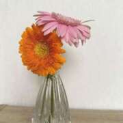 ヒメ日記 2025/06/24 11:31 投稿 こはる リッチドールパート2梅田店