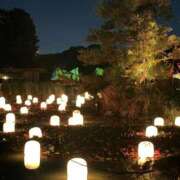 ヒメ日記 2025/10/14 14:15 投稿 こはる リッチドールパート2梅田店