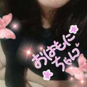 ヒメ日記 2025/03/07 06:44 投稿 ひより 即アポ奥さん～浜松店～