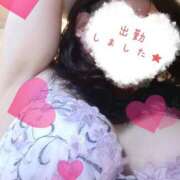 ヒメ日記 2025/03/08 09:14 投稿 ひより 即アポ奥さん～浜松店～